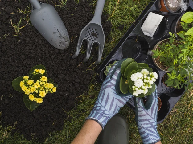 Creative Hobbies Gardening