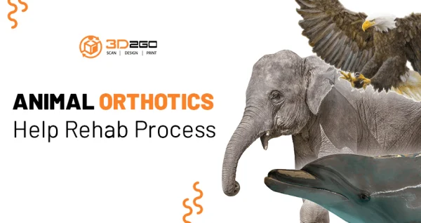 Animal Orthotics Help Rehab Process