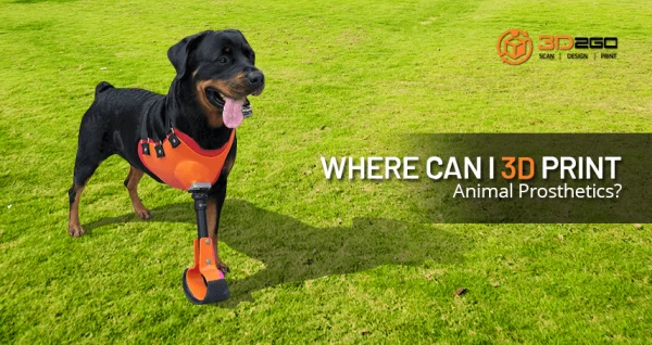 A blog banner Where can I 3D Print Animal Prosthetics and Braces?