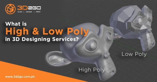 What is High & Low Poly in 3D Designing Services?