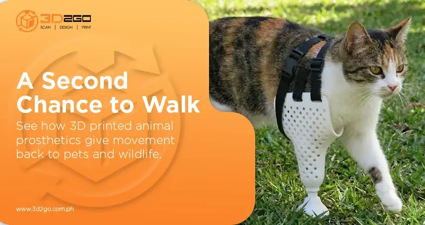 Restore-Mobility-with-Custom-3D-Printed-Animal-Prosthetics-Ban
